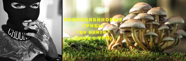 стафф Абаза