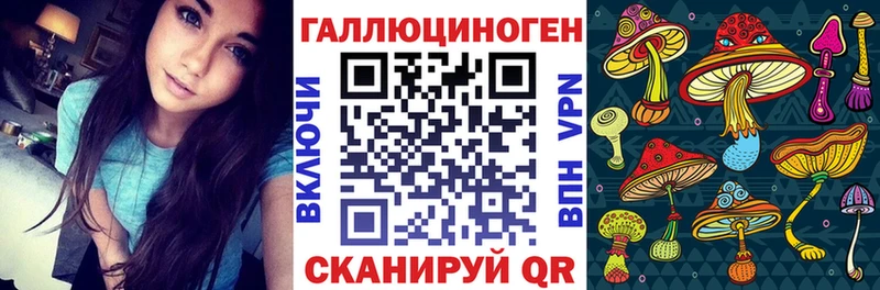 Галлюциногенные грибы Cubensis  Отрадное 