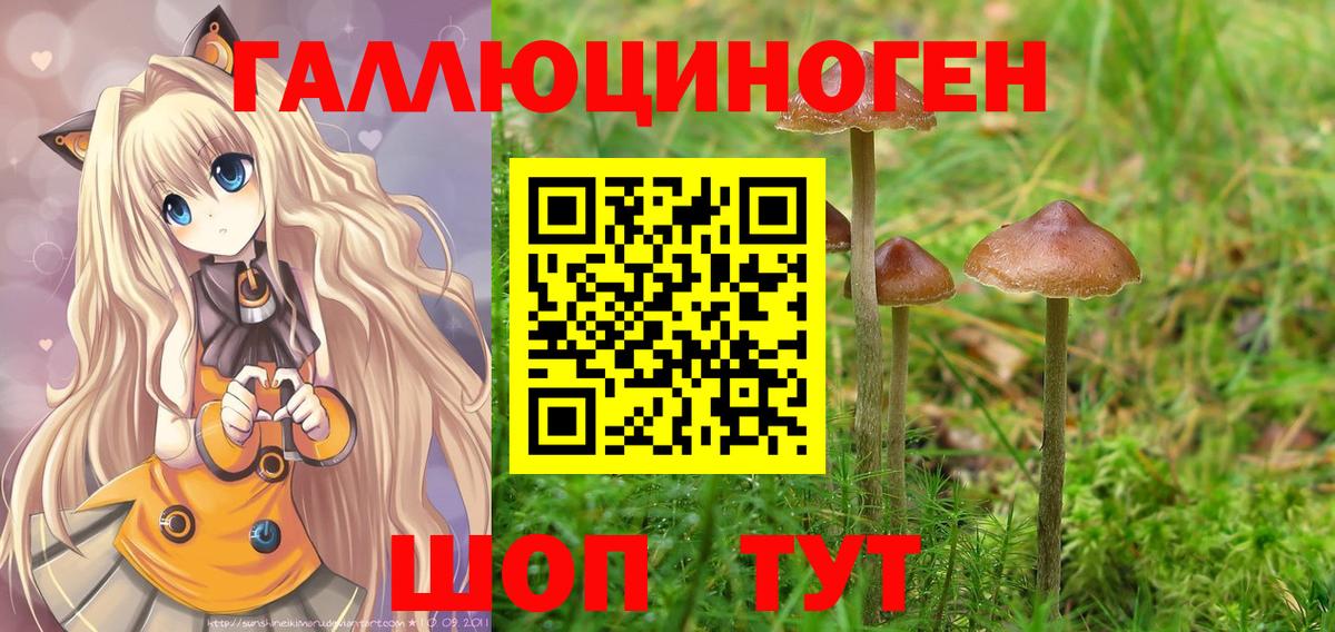 Отрадное  Галлюциногенные грибы MAGIC MUSHROOMS  Галлюциногенные грибы Magic Shrooms  Вход с VPN 
